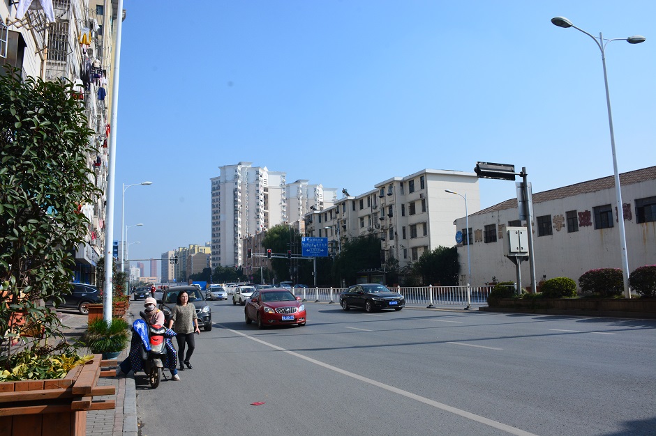 313.JPG