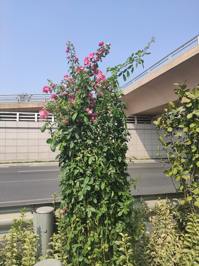 1570523720580924.jpg 微信圖片_20190930180328.jpg